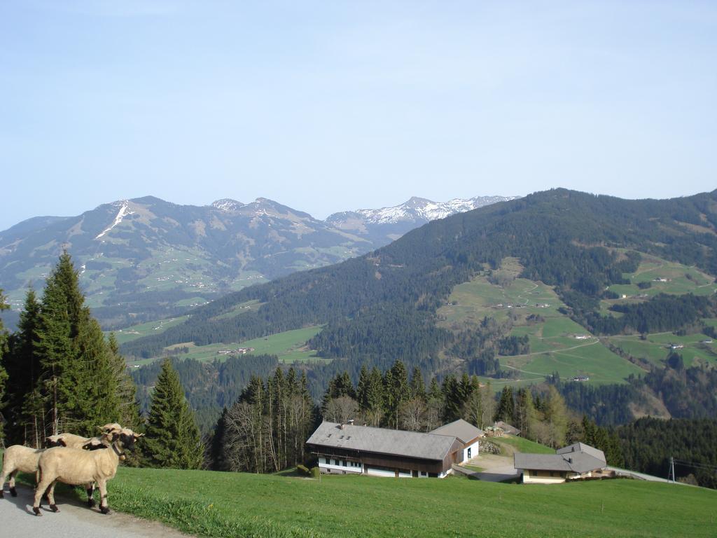 Biobauernhof Fleckl Villa Hopfgarten im Brixental Exterior foto